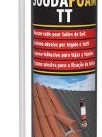 128824 ESPUMA TELHA MANU.CZ750ML&
