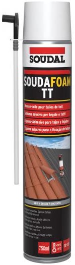 128824 ESPUMA TELHA MANU.CZ750ML&