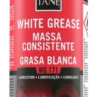 WG171 SPRAY MASSA CONSISTEN.400ML