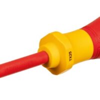 1600A02NC8 CH.VDE TORX TX25x100MM