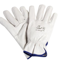 LUVA T/CHEFE CZ. (PACK 12UN) 406VRW/7