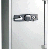 22053 COFRE A-FOGO ELE+CH.FR123P