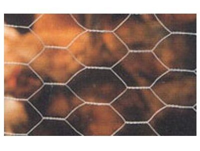 REDE HEXAGONAL GV.50MT 19x1000MM$