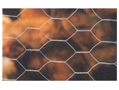 REDE HEXAGONAL GV.50MT 25x 500MM$
