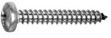 PF.C/QJ.ZN PH2 DIN7981-CH 4,8×25